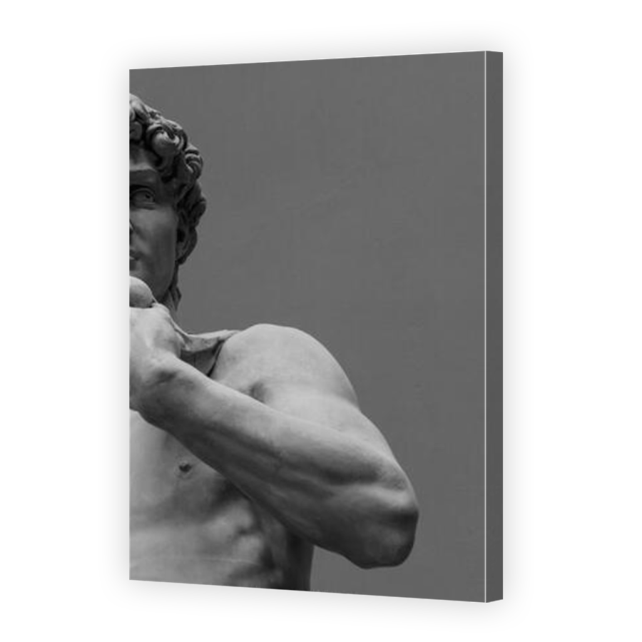 Thumbnail for Canvas - Mirror Image Canvas Wrap