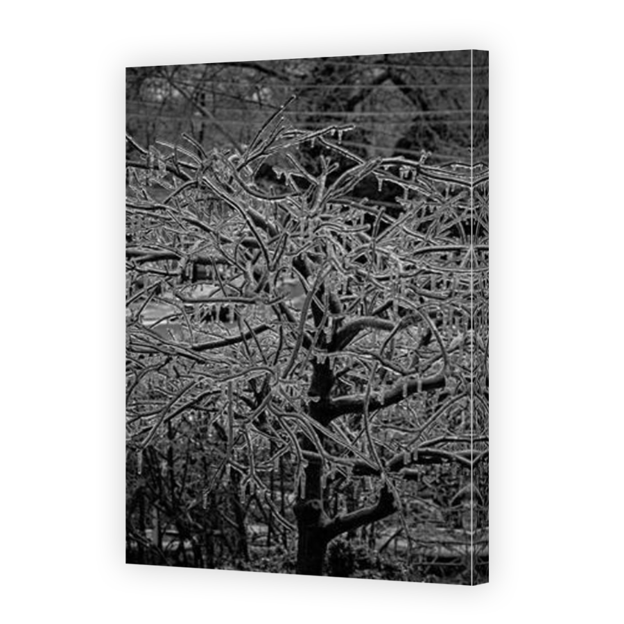 Thumbnail for Canvas - Mirror Image Canvas Wrap