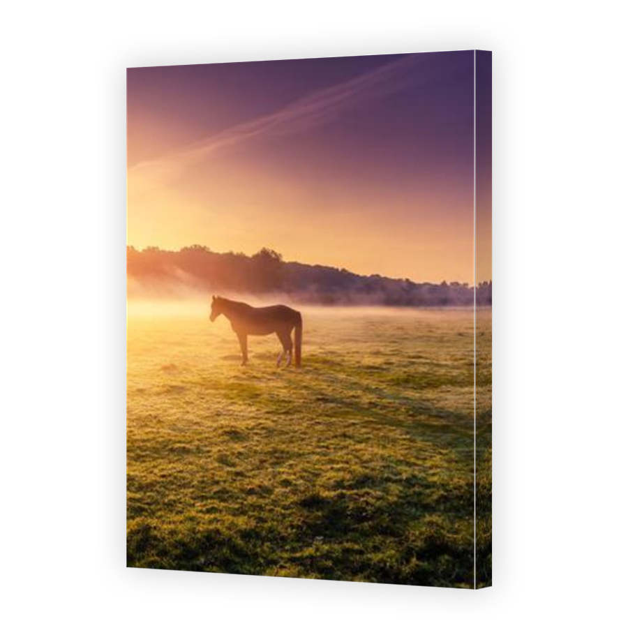 Thumbnail for Canvas - Mirror Image Canvas Wrap