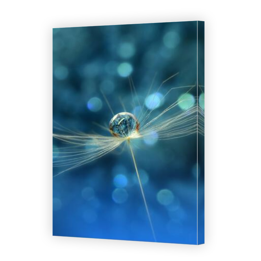 Thumbnail for Canvas - Mirror Image Canvas Wrap