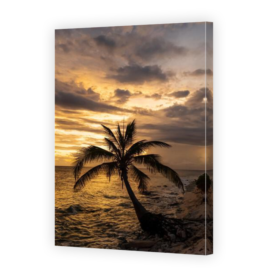 Thumbnail for Canvas - Mirror Image Canvas Wrap