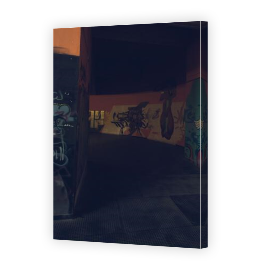 Thumbnail for Canvas - Mirror Image Canvas Wrap