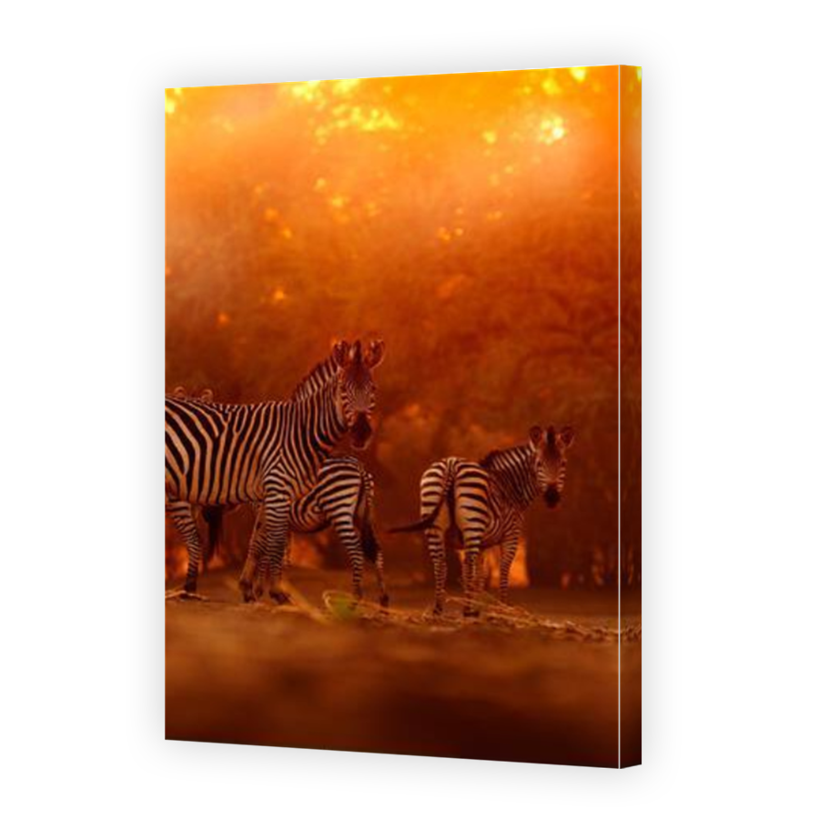 Thumbnail for Canvas - Mirror Image Canvas Wrap