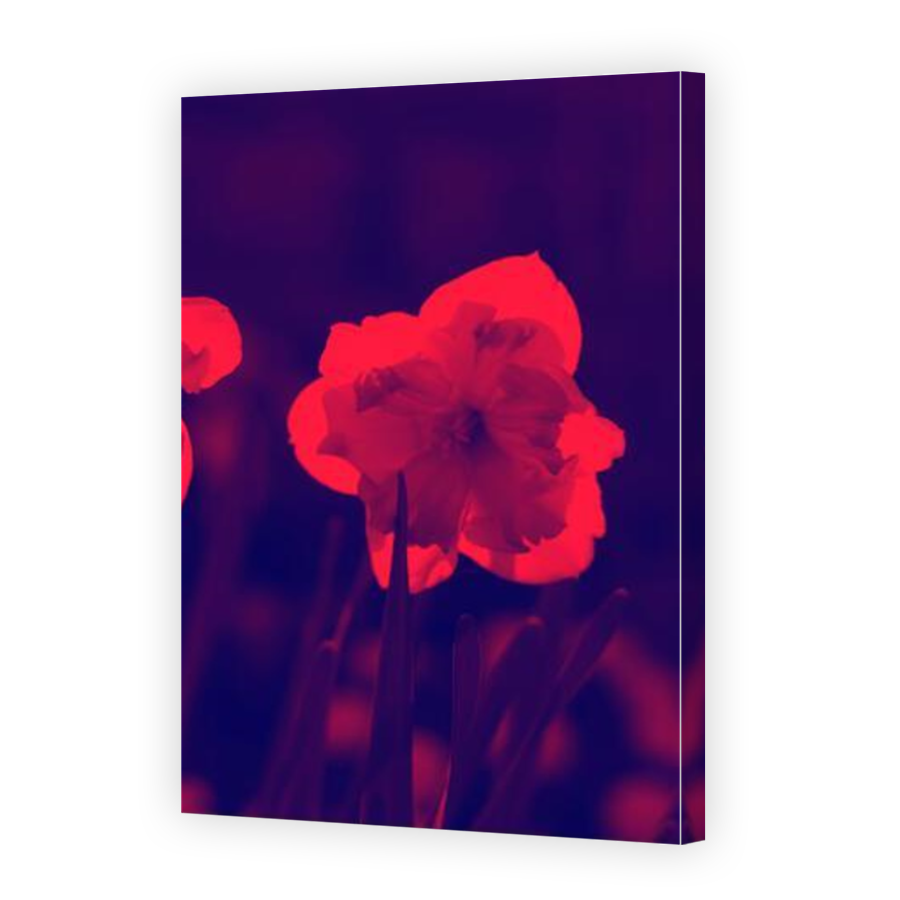 Thumbnail for Canvas - Mirror Image Canvas Wrap
