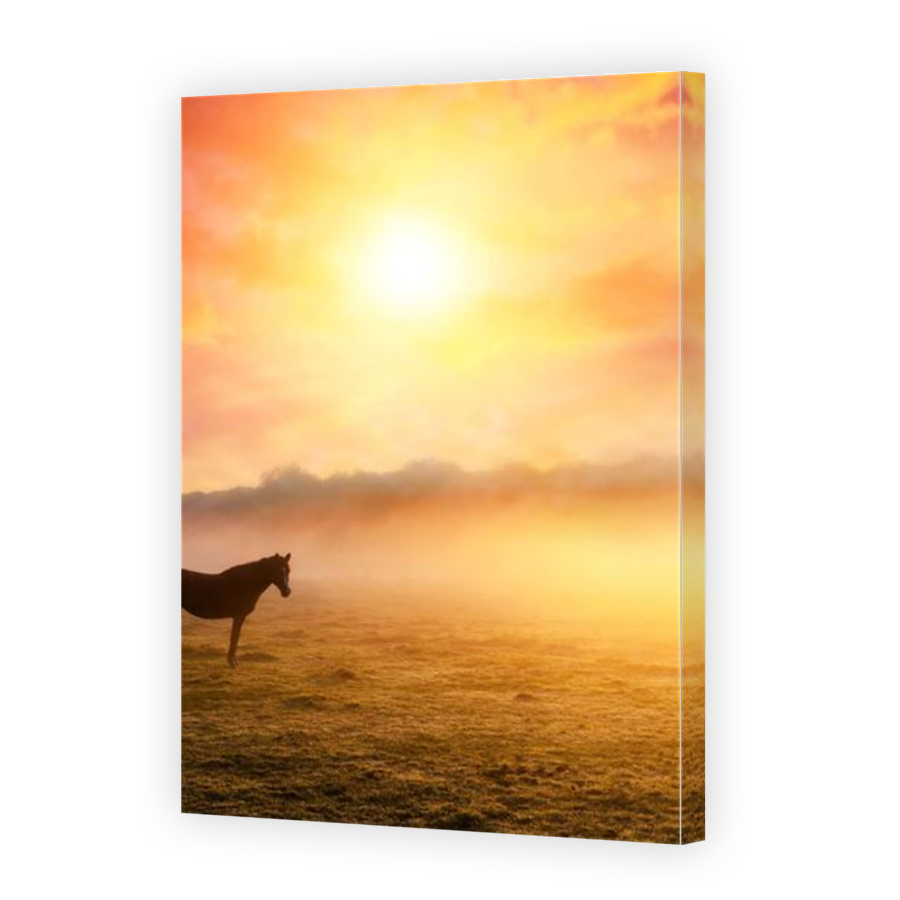 Thumbnail for Canvas - Mirror Image Canvas Wrap