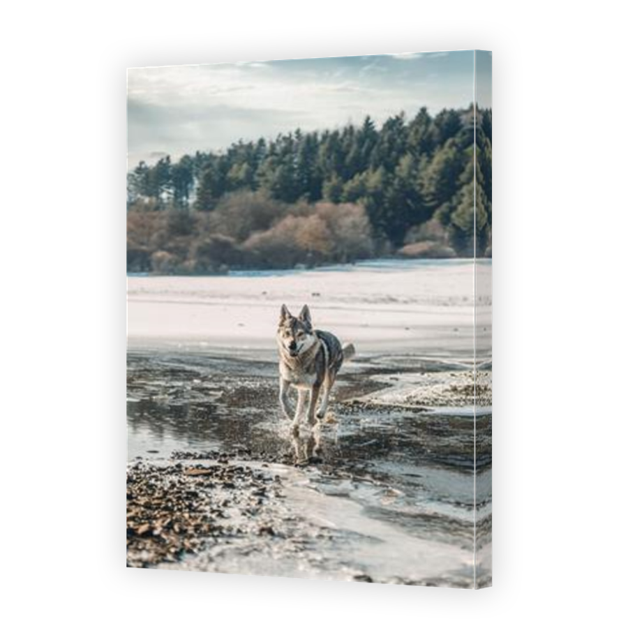 Thumbnail for Canvas - Mirror Image Canvas Wrap