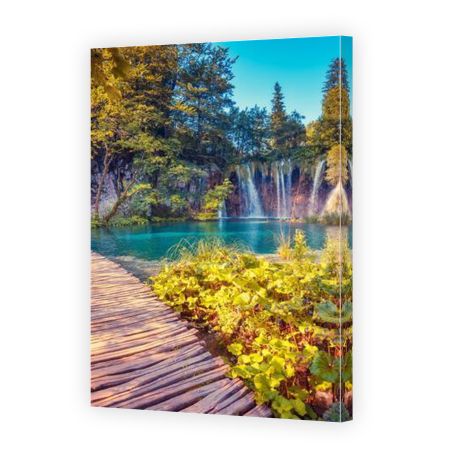 Thumbnail for Canvas - Mirror Image Canvas Wrap