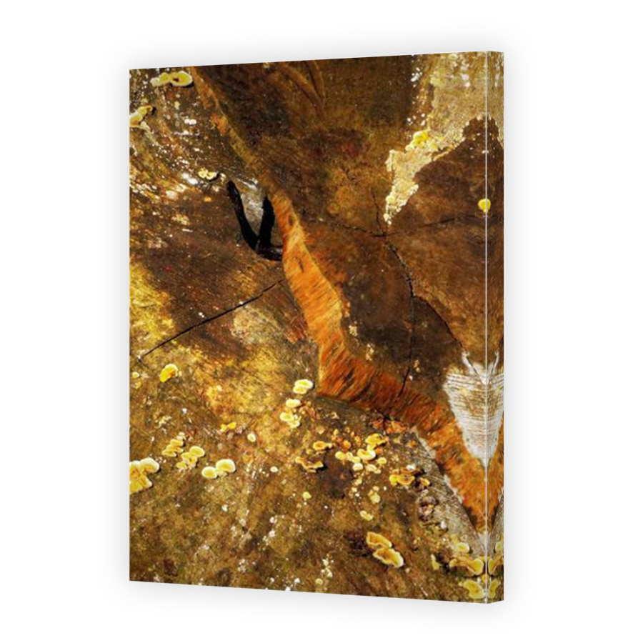 Thumbnail for Canvas - Mirror Image Canvas Wrap