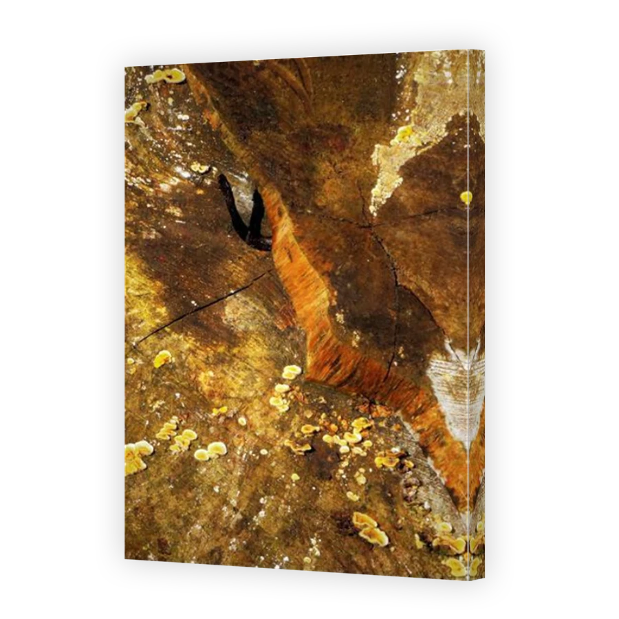Thumbnail for Canvas - Mirror Image Canvas Wrap