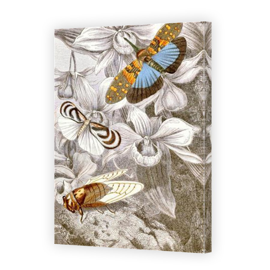 Thumbnail for Canvas - Mirror Image Canvas Wrap