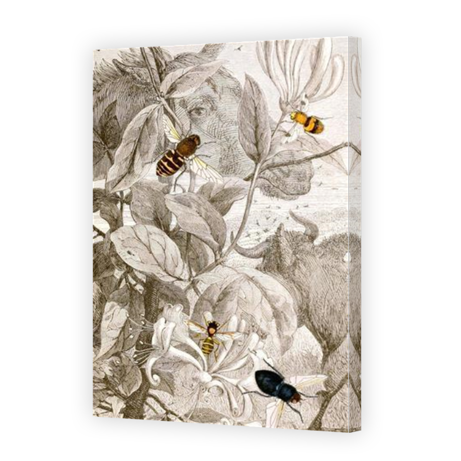 Thumbnail for Canvas - Mirror Image Canvas Wrap