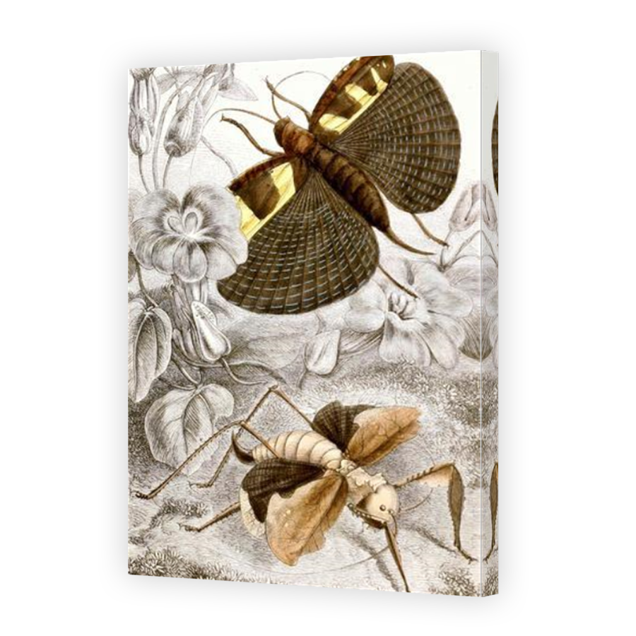 Thumbnail for Canvas - Mirror Image Canvas Wrap