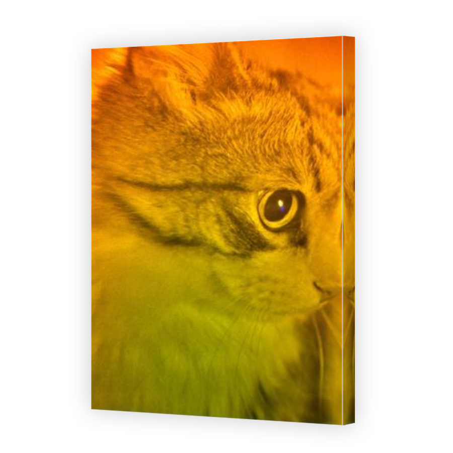 Thumbnail for Canvas - Mirror Image Canvas Wrap