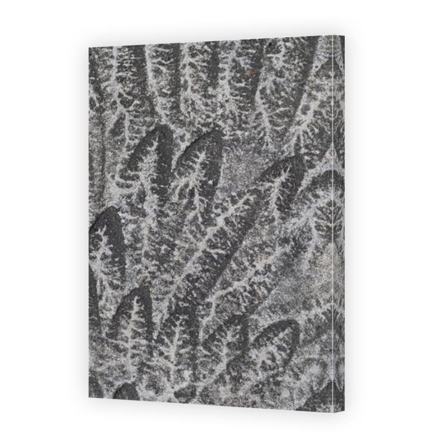 Thumbnail for Canvas - Mirror Image Canvas Wrap