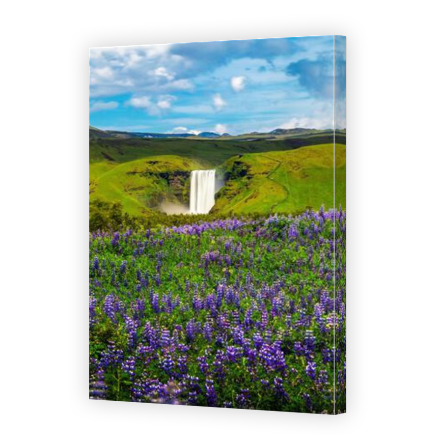 Thumbnail for Canvas - Mirror Image Canvas Wrap