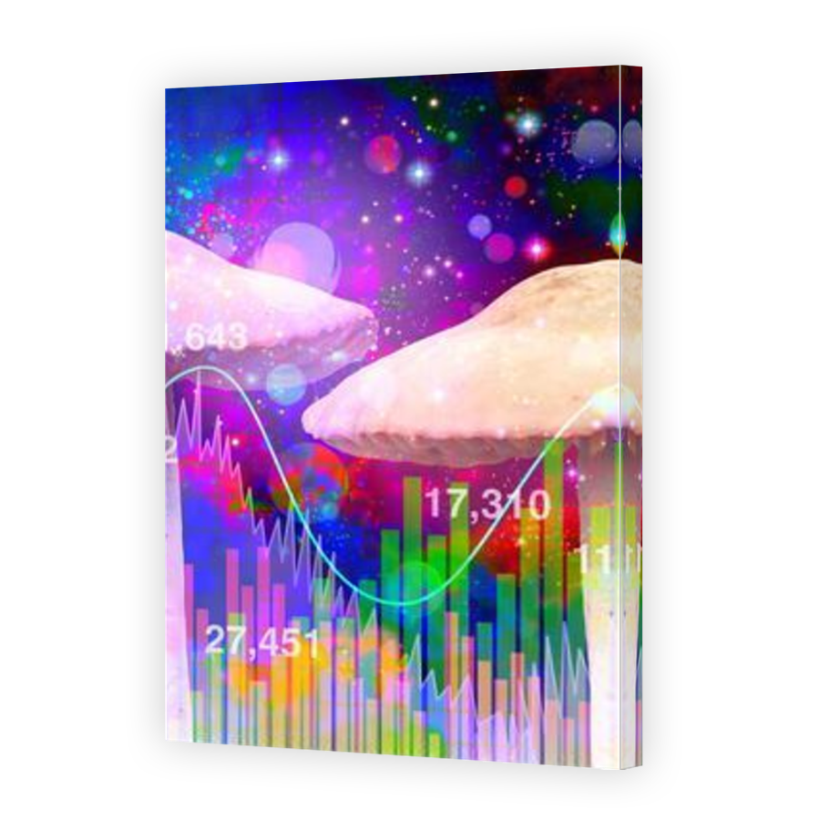 Thumbnail for Canvas - Mirror Image Canvas Wrap