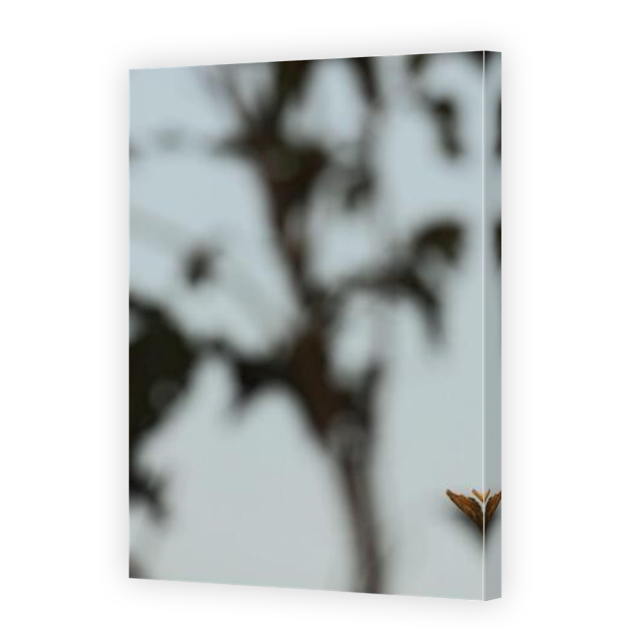 Thumbnail for Canvas - Mirror Image Canvas Wrap