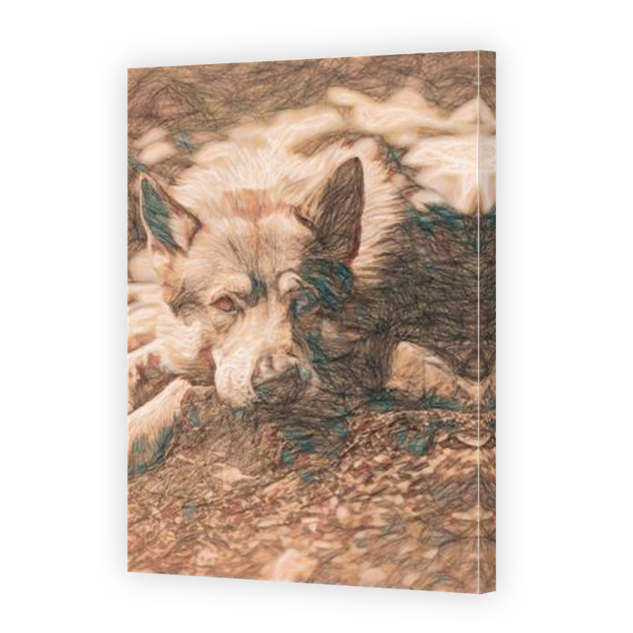 Thumbnail for Canvas - Mirror Image Canvas Wrap