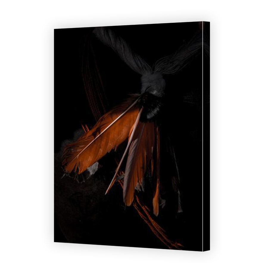 Thumbnail for Canvas - Mirror Image Canvas Wrap
