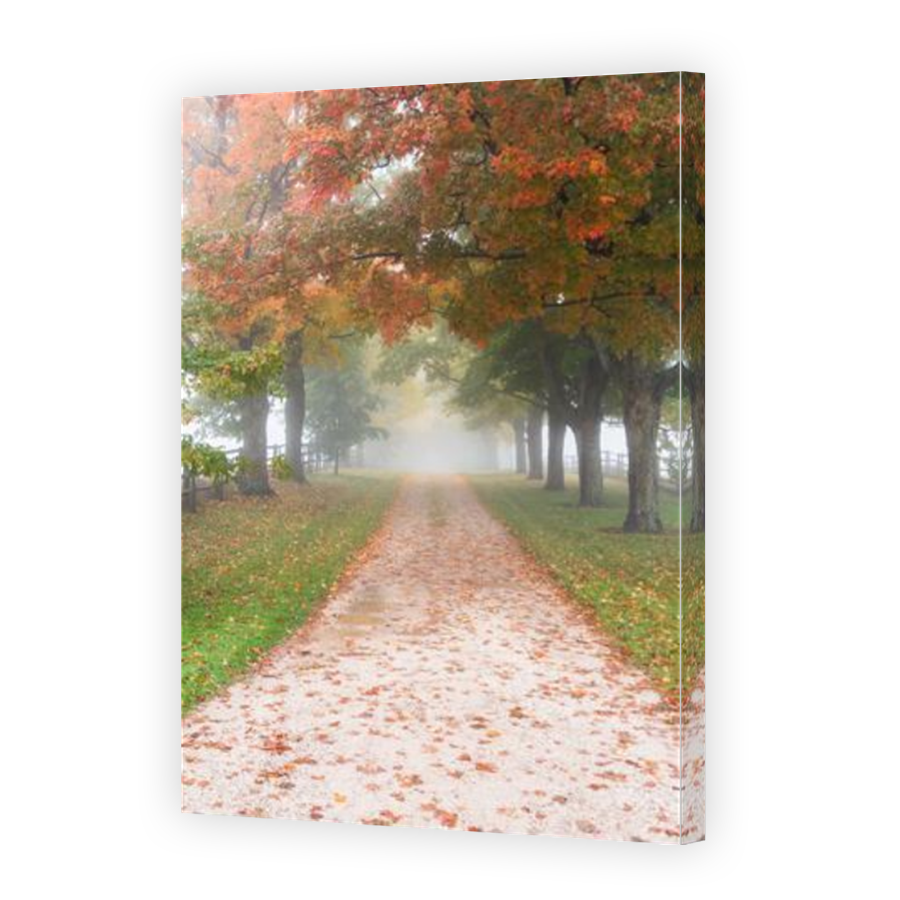 Thumbnail for Canvas - Mirror Image Canvas Wrap