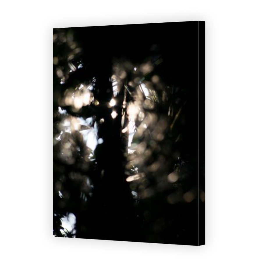 Thumbnail for Canvas - Mirror Image Canvas Wrap