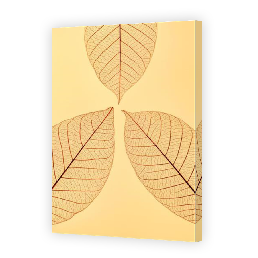 Thumbnail for Canvas - Mirror Image Canvas Wrap