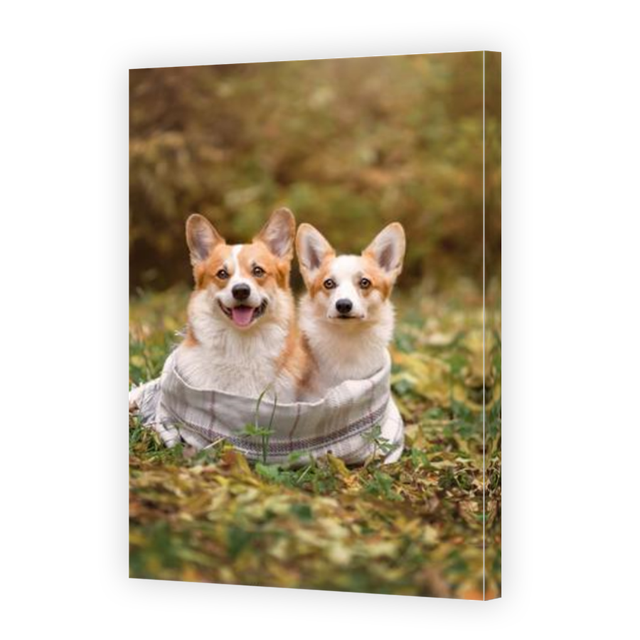 Thumbnail for Canvas - Mirror Image Canvas Wrap