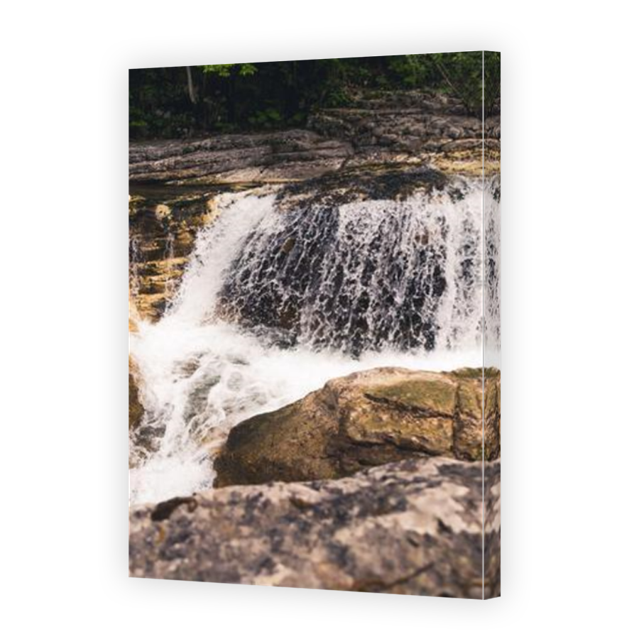 Thumbnail for Canvas - Mirror Image Canvas Wrap