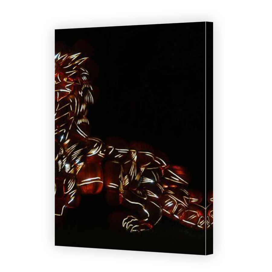 Thumbnail for Canvas - Mirror Image Canvas Wrap