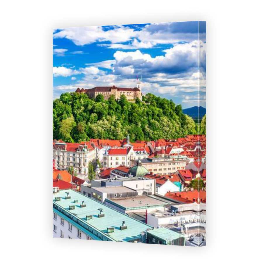 Thumbnail for Canvas - Mirror Image Canvas Wrap