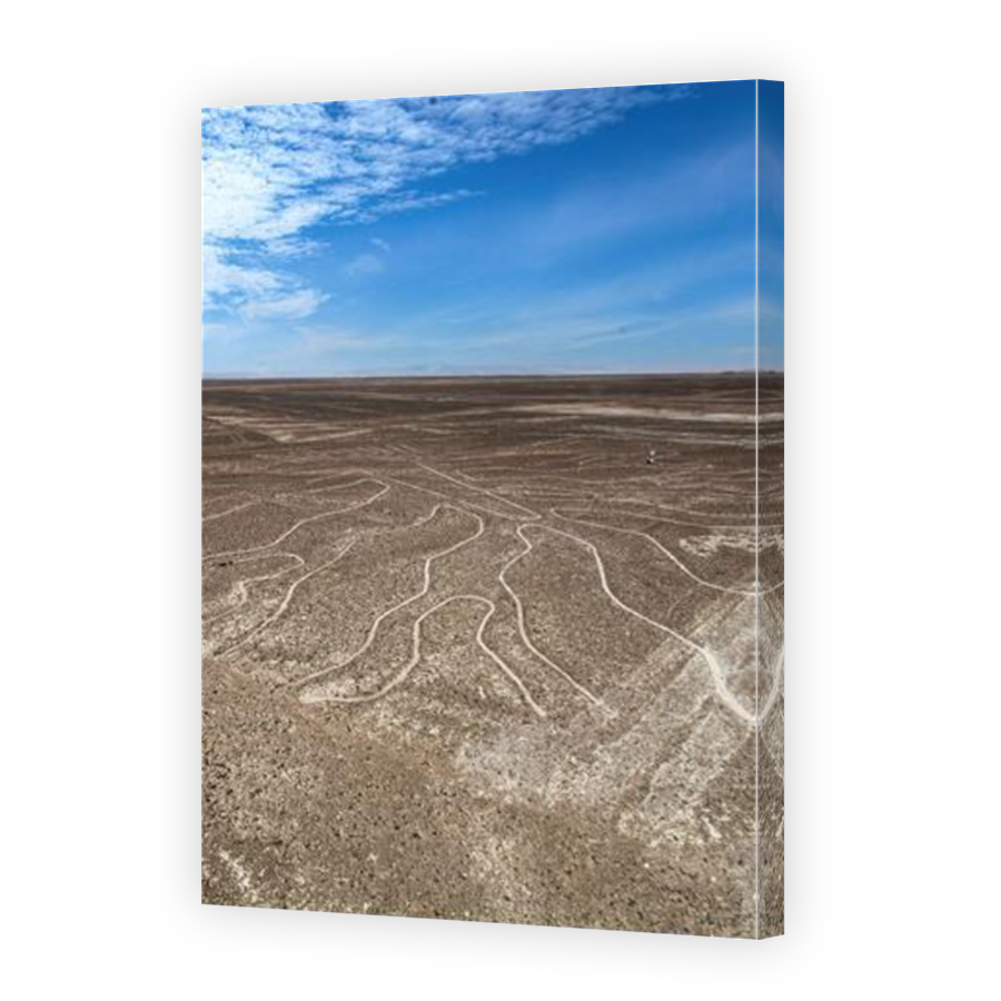 Thumbnail for Canvas - Mirror Image Canvas Wrap
