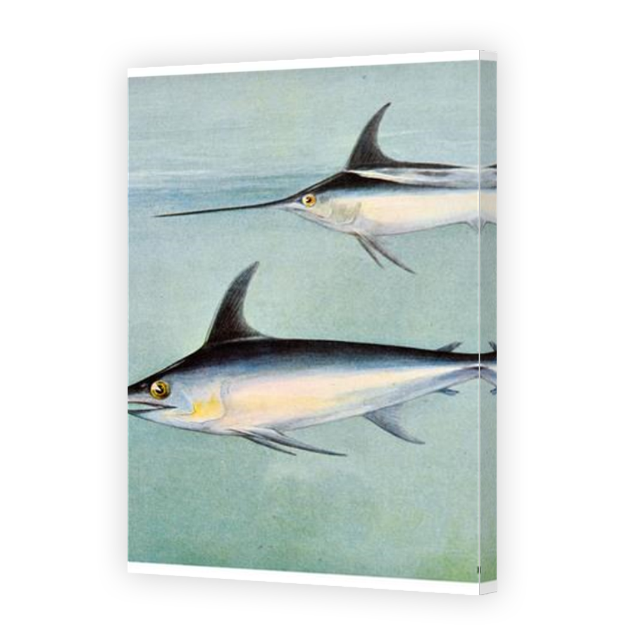 Thumbnail for Canvas - Mirror Image Canvas Wrap