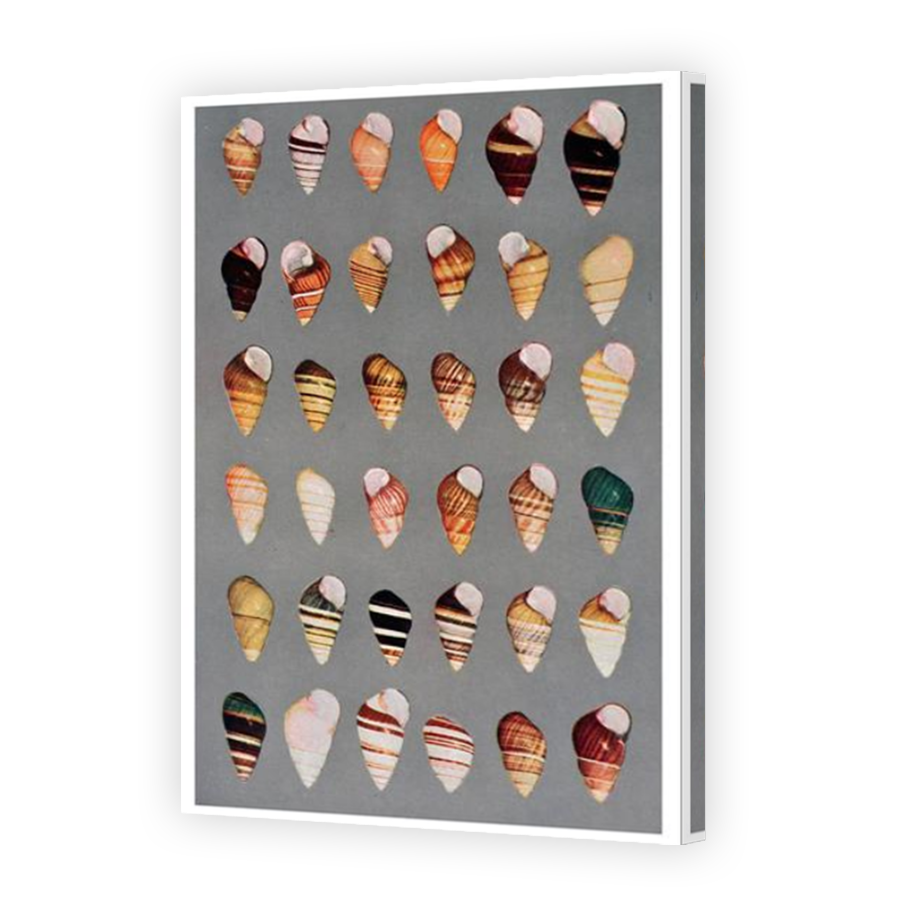 Thumbnail for Canvas - Mirror Image Canvas Wrap
