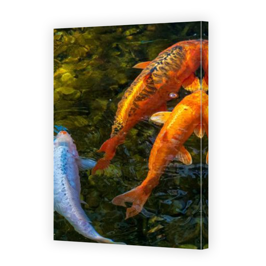 Thumbnail for Canvas - Mirror Image Canvas Wrap