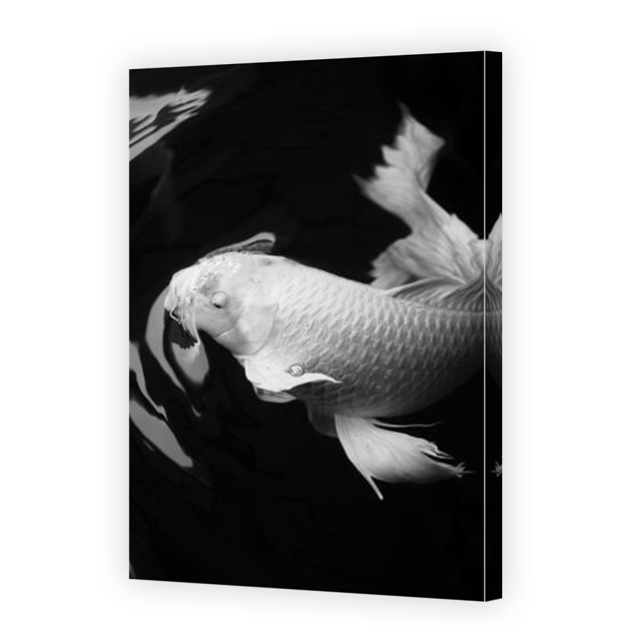 Thumbnail for Canvas - Mirror Image Canvas Wrap