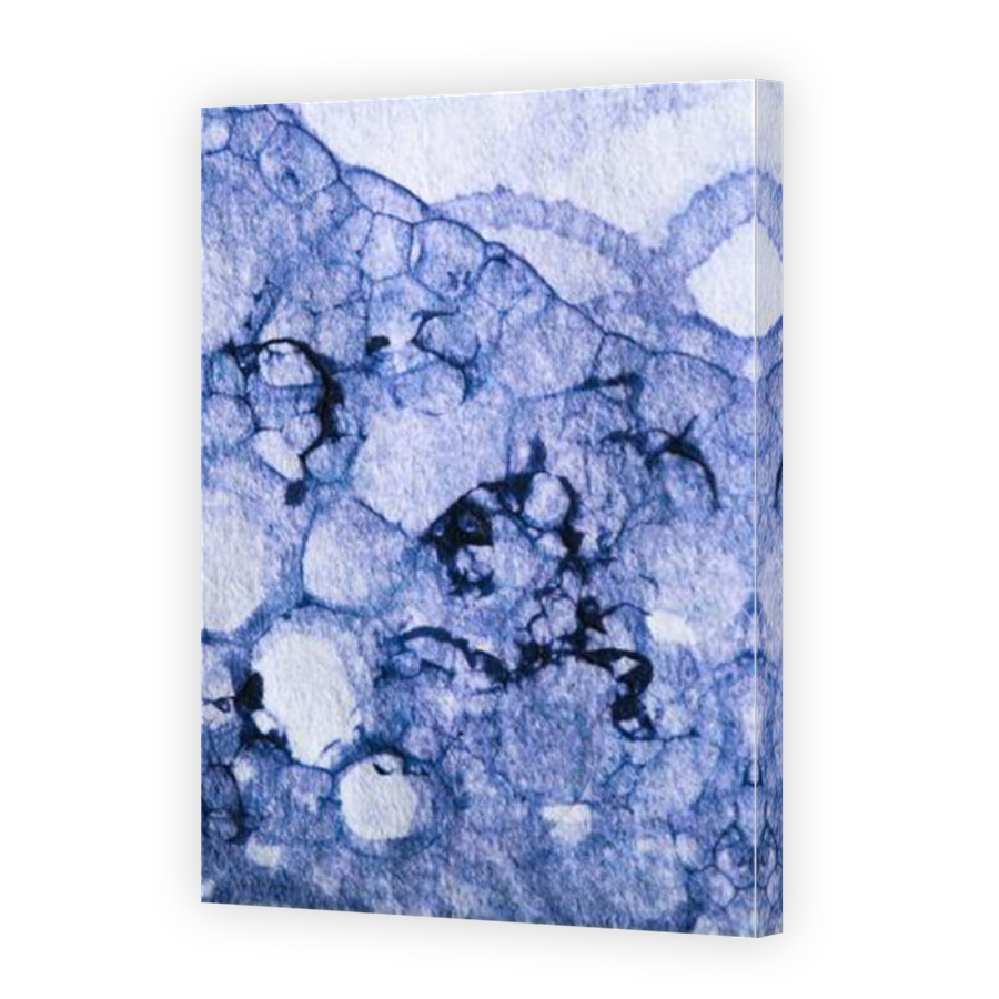 Thumbnail for Canvas - Mirror Image Canvas Wrap