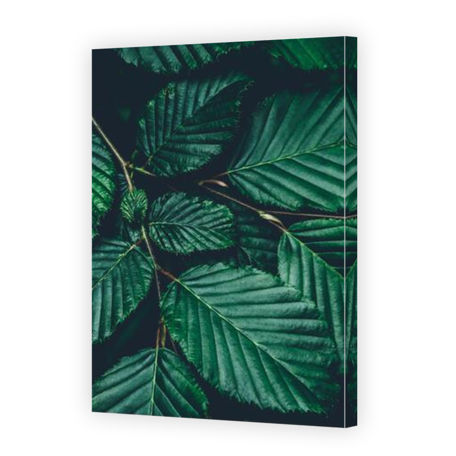 Thumbnail for Canvas - Mirror Image Canvas Wrap