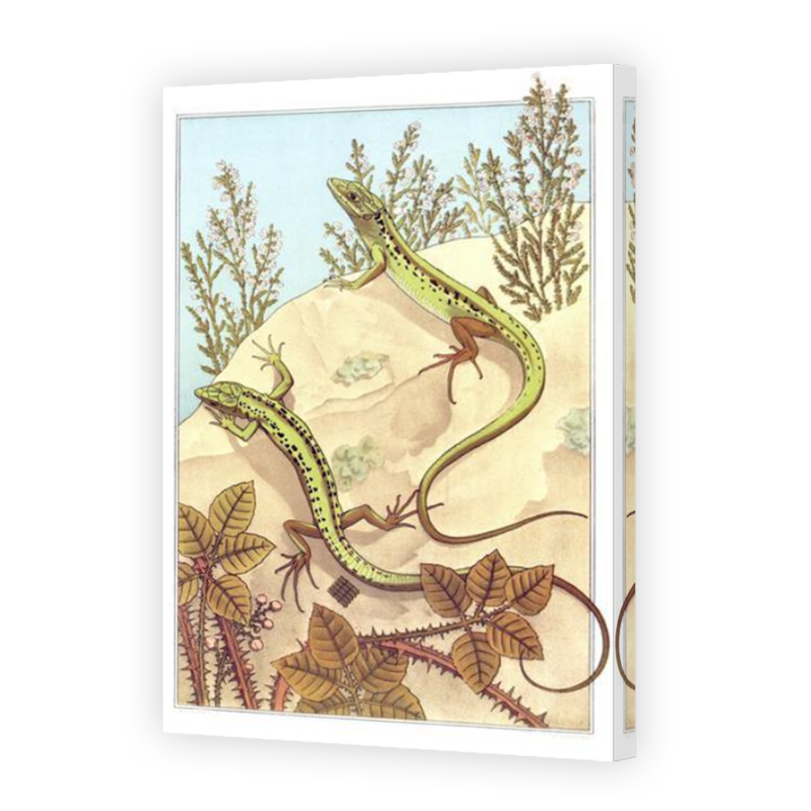 Thumbnail for Canvas - Mirror Image Canvas Wrap