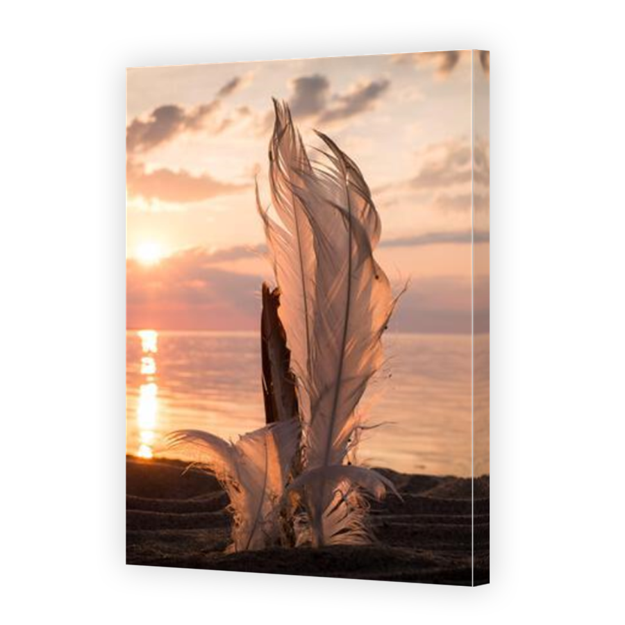 Thumbnail for Canvas - Mirror Image Canvas Wrap