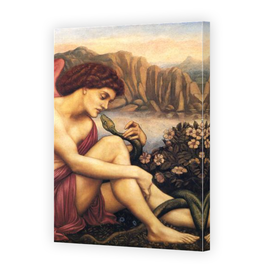 Thumbnail for Canvas - Mirror Image Canvas Wrap