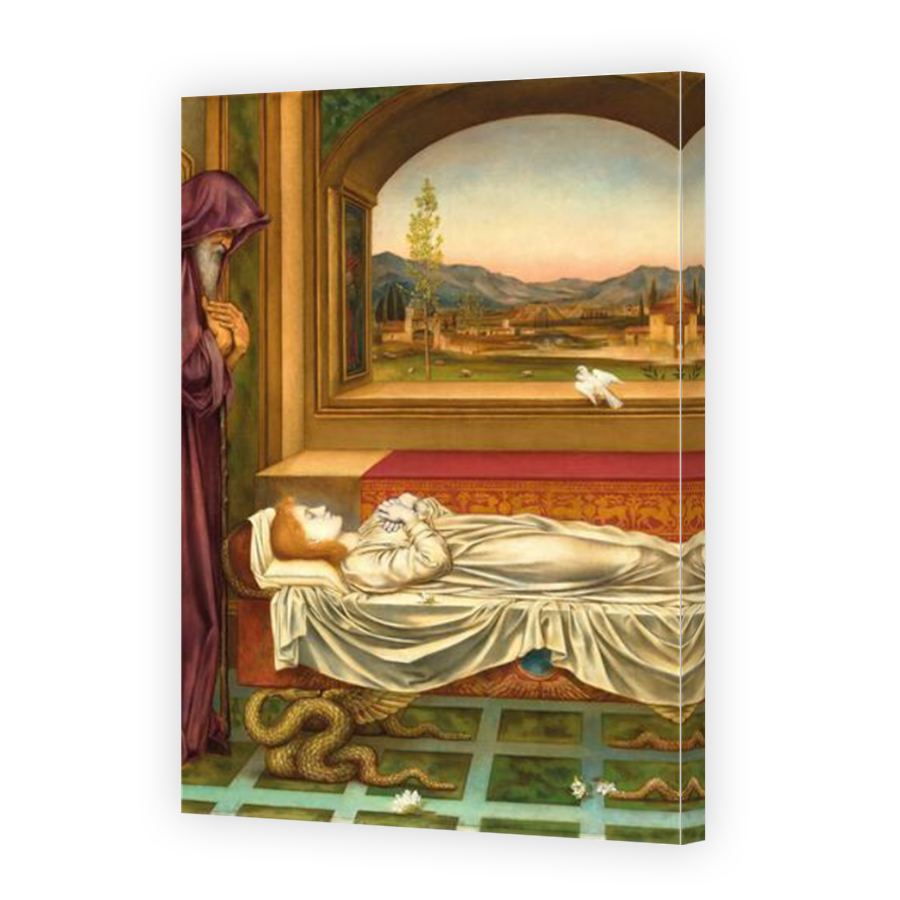 Thumbnail for Canvas - Mirror Image Canvas Wrap