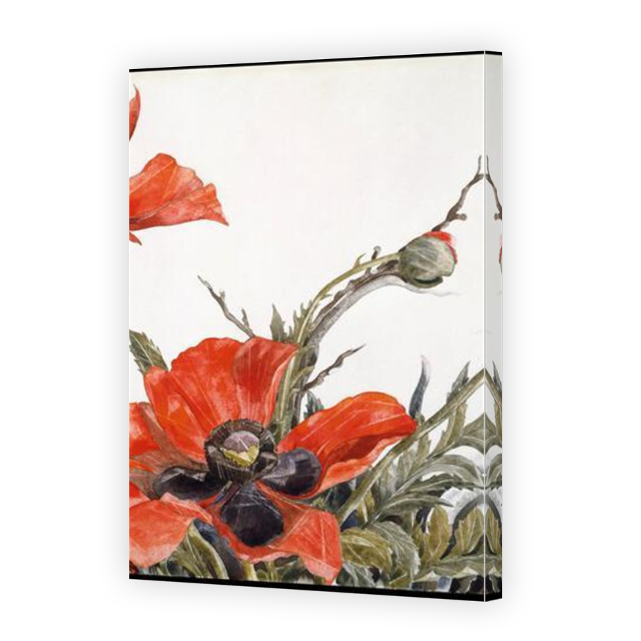 Thumbnail for Canvas - Mirror Image Canvas Wrap