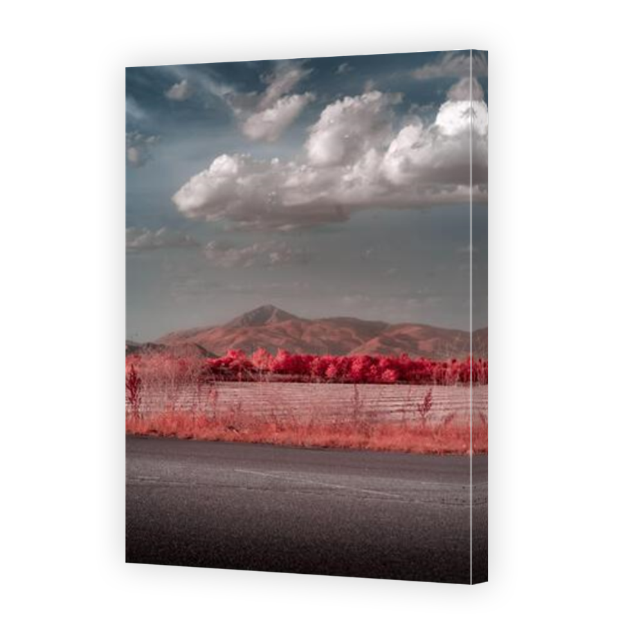 Thumbnail for Canvas - Mirror Image Canvas Wrap
