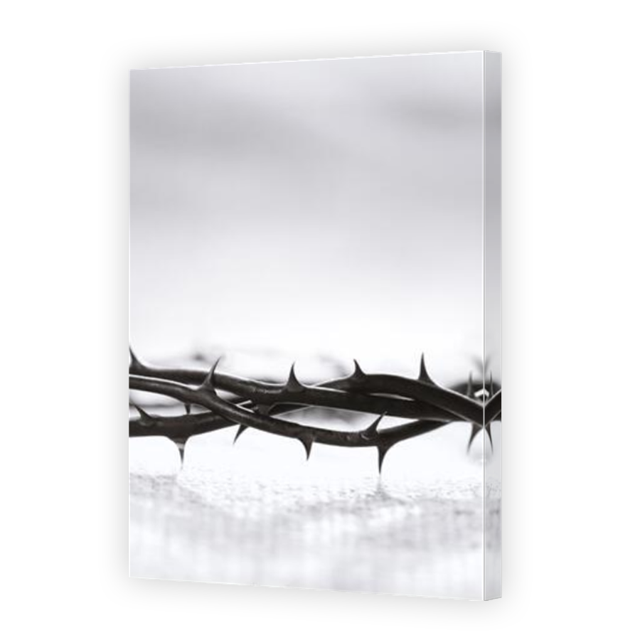 Thumbnail for Canvas - Mirror Image Canvas Wrap