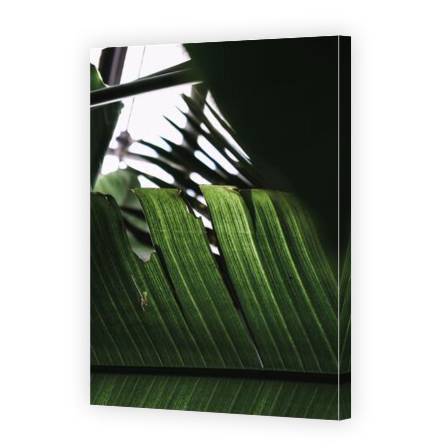 Thumbnail for Canvas - Mirror Image Canvas Wrap