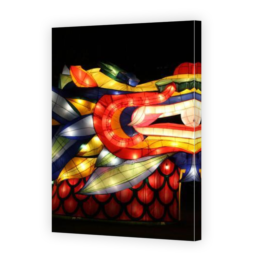 Thumbnail for Canvas - Mirror Image Canvas Wrap