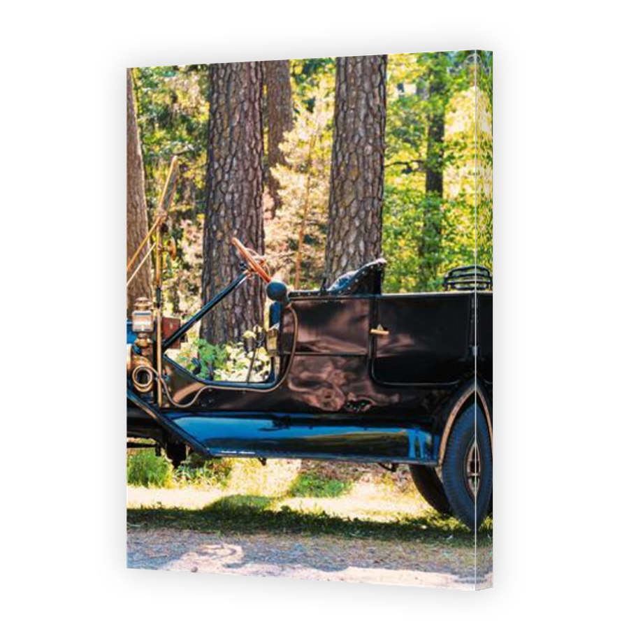 Thumbnail for Canvas - Mirror Image Canvas Wrap