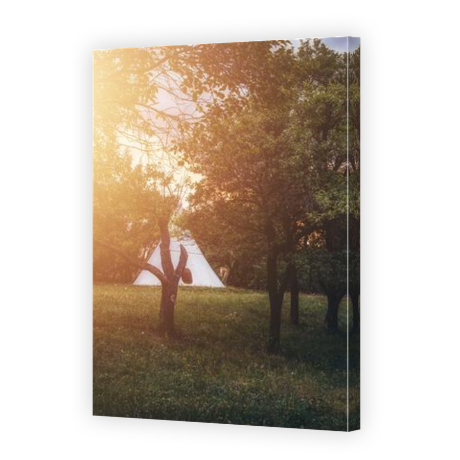 Thumbnail for Canvas - Mirror Image Canvas Wrap