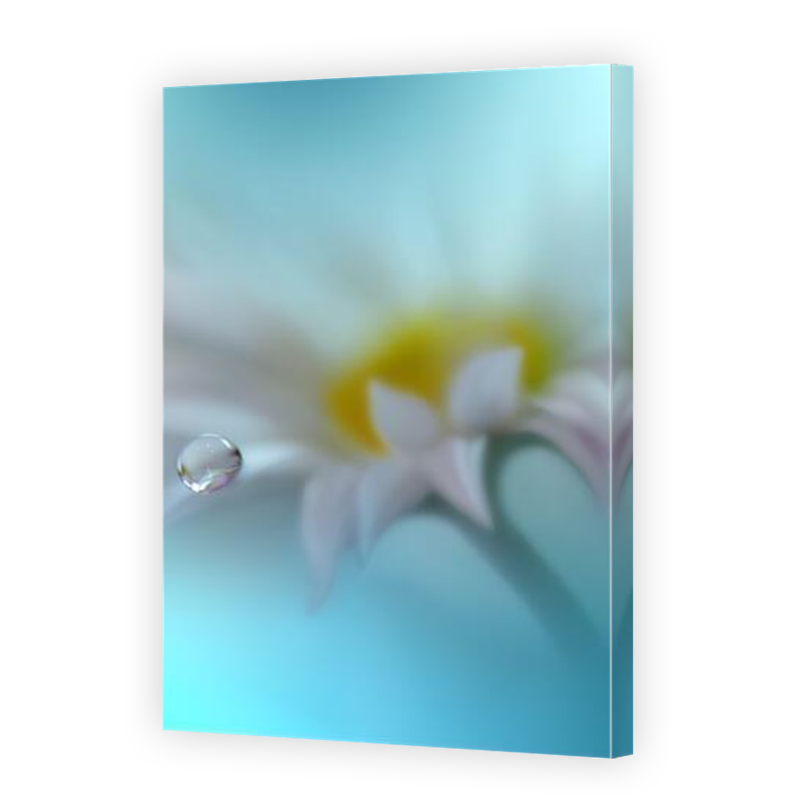 Thumbnail for Canvas - Mirror Image Canvas Wrap