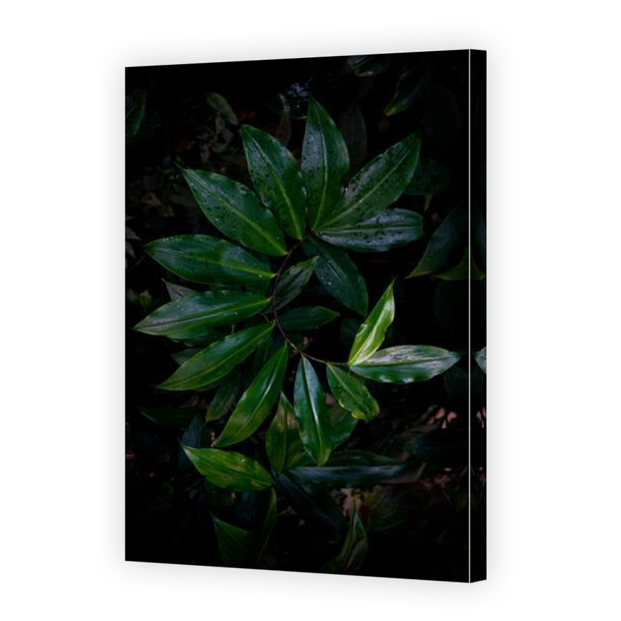 Thumbnail for Canvas - Mirror Image Canvas Wrap